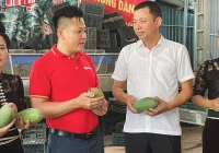 Hơn 3.000 siêu thị và cửa hàng WinMart/WinMart+ sẽ bày bán nhiều loại nông sản, đặc sản Sơn La