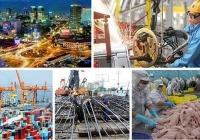 Nền kinh tế có độ mở lớn như Việt Nam đang chịu áp lực