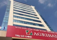 Agribank có nhiều thông báo bán đấu giá, xử lý tài sản tại TP HCM để thu hồi nợ