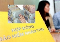 Trục lợi bảo hiểm hiện nay không chỉ dừng lại ở những “chiêu thức” đơn thuần