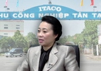 Về đơn kêu cứu của Tập đoàn Tân Tạo, đại diện Tổng cục Thuế nói gì?