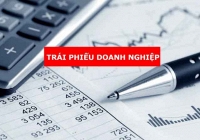Áp lực đáo hạn trái phiếu tăng mạnh trong năm 2023-2024