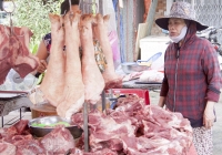 Nguồn cung dồi dào, giá thịt heo vẫn ở mức thấp