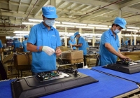 Bộ Tài chính xác minh, làm rõ 28 doanh nghiệp liên quan đến vụ Asanzo