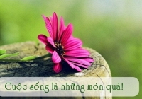 Lời dạy của cổ nhân khiến người trẻ phải suy ngẫm