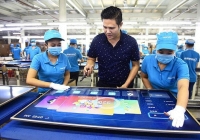 Tại sao TAND quận 11 vẫn chưa thụ lý vụ Asanzo kiện báo Tuổi Trẻ?