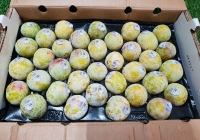 Mận khủng long Mỹ có giá gần nửa triệu một trái, nhiều chị em rủ nhau mua về giảm cân