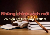 Những chính sách mới nổi bật có hiệu lực từ tháng 9/2019