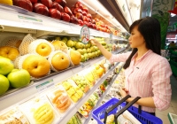 Trái cây nhập khẩu sôi động hơn hàng trong nước vì giá giảm mạnh 