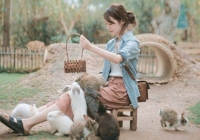 Tử vi 12 con giáp 8/8/2019: Mùi áp lực tiền bạc, Tý thuận lợi