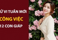 Tử vi công việc tuần mới (2- 8/9/2019) 12 con giáp: Tý thành công ngoài dự kiến, Dần có may mắn bất ngờ