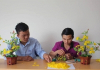 Biến vảy cá thành tranh