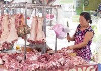 Dự trữ thịt lợn, tránh khan hàng vào dịp tết Nguyên đán 