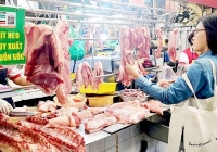 Giá thịt heo bán lẻ tại Hà Nội ngang ngửa với TP.HCM