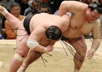 Làm thế nào để trải nghiệm một trận đấu sumo ở Nhật Bản?
