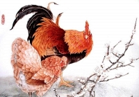 Tử vi năm 2020 tuổi Dậu: Tháng 1 may mắn tột đỉnh, tháng 5 gặp biến động không lường