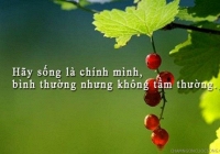 Tử vi tài lộc Chủ Nhật ngày 5.1.2020 của 12 con giáp: Tuất nên kiềm chế chi tiêu, Mùi đầu tư thua lỗ