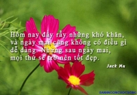 Tử vi tình duyên Chủ Nhật ngày 5.1.2020 của 12 con giáp: Mùi hãy nói chuyện tự nhiên, Ngọ ổn định cảm xúc