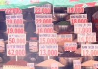 Giá gạo xuất khẩu 2/2 tiếp tục giảm 