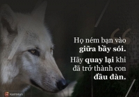 Tử vi sự nghiệp ngày 8/2/2020 của 12 cung hoàng đạo: Cự Giải bận rộn, Sư Tử xem lại thái độ làm việc