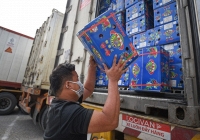 Visuc corona khiến xuất nhập khẩu hàng hóa cả nước giảm mạnh tháng đầu năm