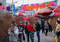 Đào quất tưng bừng xuống phố chuẩn bị đón Tết