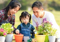 Dạy con tôn trọng môi trường là nền tảng cho tương lai bền vững
