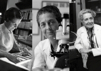 Rita Levi-Montalcini, nhà khoa học vĩ đại và khám phá đột phá về thần kinh