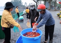 Người dân Hà Nội nô nức thả cá chép tiễn ông Táo về trời