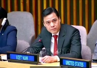 Việt Nam bắt đầu nhiệm kỳ thành viên Hội đồng chấp hành UN Women