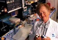 Gertrude Belle Elion: Nữ khoa học gia vượt qua định kiến, cống hiến cho y học