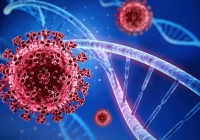 Biến thể phụ XBB.1.16 gia tăng tại Thái Lan, Việt Nam tăng cường giám sát dịch COVID-19