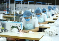 Nâng cao khả năng tiếp cận việc làm của lao động nữ trong bối cảnh chuyển đổi số 