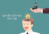 Cục Sở hữu trí tuệ hướng dẫn xử lý thay đổi thông tin trên văn bằng bảo hộ sau sắp xếp đơn vị hành chính