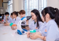 Bộ Giáo dục đề xuất học bổng hấp dẫn cho sinh viên các ngành khoa học, kỹ thuật và công nghệ chiến lược