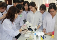 Trao quyền cho đại học trong tuyển dụng và đãi ngộ nhân tài khoa học