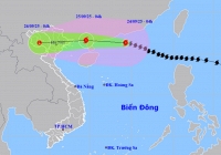 Bão Ragasa cách Móng Cái 650 km, gió giật trên cấp 17, hướng vào miền Bắc