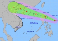 Bão Matmo di chuyển vào Biển Đông, trở thành bão số 11 dự báo mạnh lên cấp 12, giật cấp 15