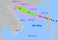 Bão số 11 Matmo giật cấp 14, tiến nhanh vào Bắc bộ