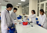 Hệ xúc tác quang biến tính đột phá: Giải pháp xử lý kháng sinh trong môi trường nước Việt Nam