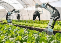 Khoa học công nghệ và bài toán nâng giá trị sản xuất nông nghiệp