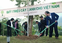 Vinamilk chung tay cùng người dân vừa trồng cây gây rừng, vừa tạo sinh kế