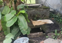 Nghi phạm sát hại người phụ nữ giao gas 13 năm trước ở Hải Phòng gây án khi mới 17 tuổi, là con chủ nhà nơi phát hiện bộ xương
