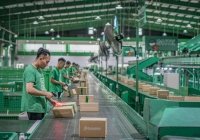 Vì sao Giao hàng tiết kiệm ngưng nhận đơn đúng dịp cao điểm Tết Nguyên đán?