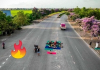 Nhóm phụ nữ 'tập yoga' giữa đường, chụp ảnh check-in hoa bằng lăng gây bức xúc: 'Đu trend' xin đừng bất chấp!