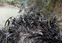 Công an Quảng Trị phát hiện 200 lít dầu thải ở đầu nguồn sông Hiếu