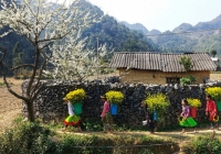 Cao nguyên đá mùa xuân