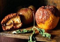 Thực phẩm hết hạn, đâu là cách nhận biết?