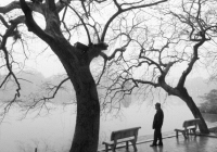 Vua chó mèo Bảo Sinh - một Bát Phố hiếm hoi của Hà Nội xưa