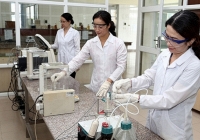 Thực trạng và một số giải pháp thúc đẩy sự phát triển cán bộ khoa học nữ ở Việt Nam hiện nay